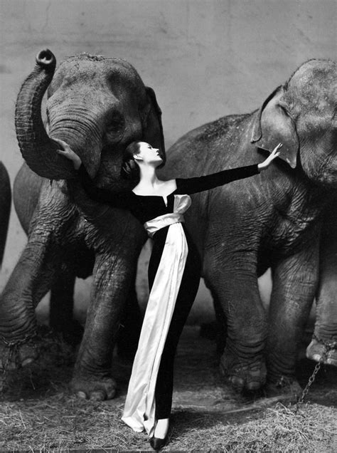 evening dress ysl dovima|Dovima with Elephants, Evening Dress by Dior, .